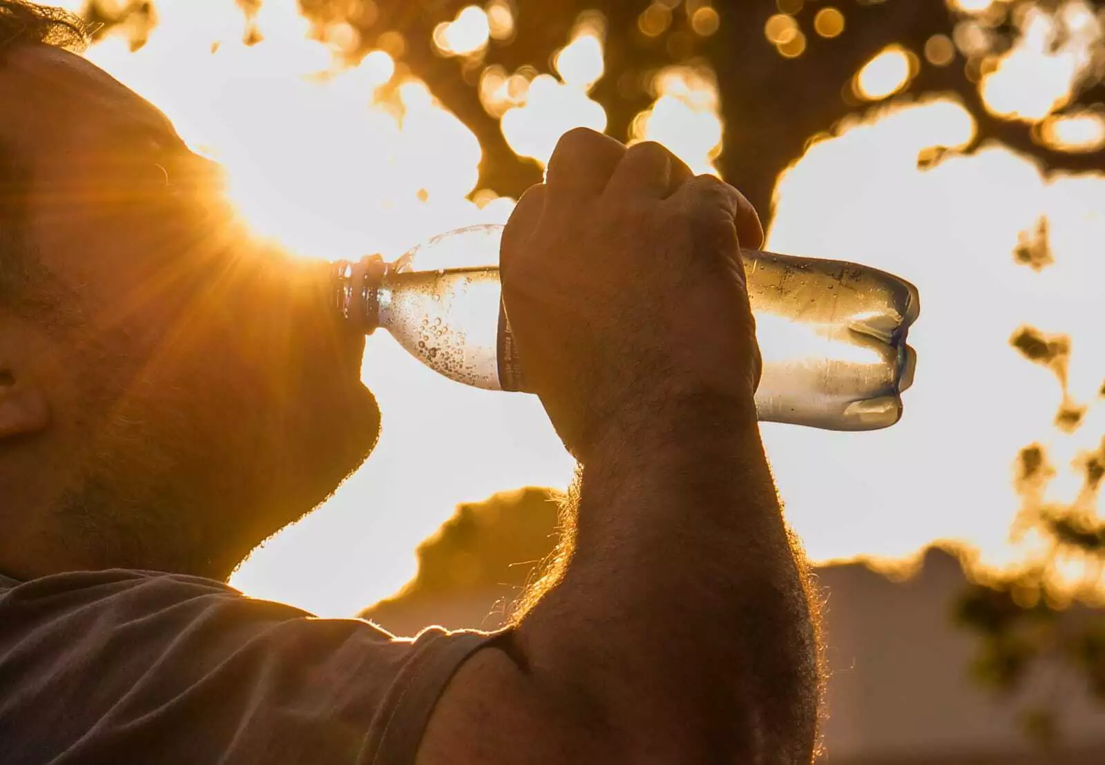 Beber muita água é uma das formas de se proteger da baixa umidade
