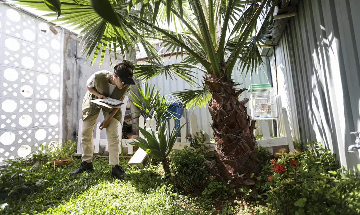 evitar a disseminação de doenças como dengue, zika e chikungunya