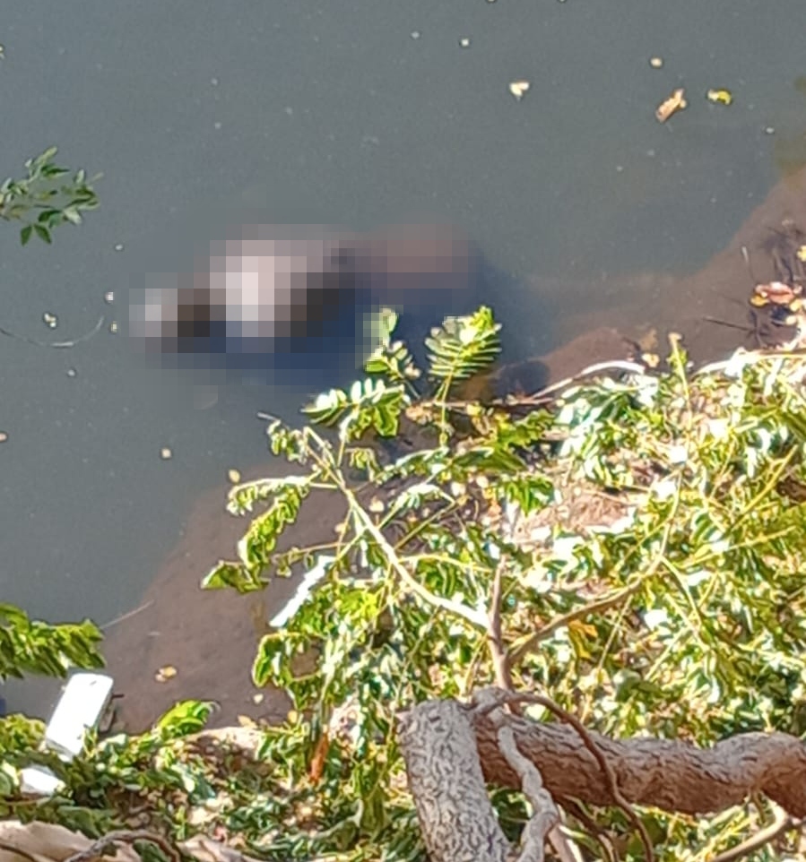 Corpo de homem é encontrado boiando no rio Parnaíba