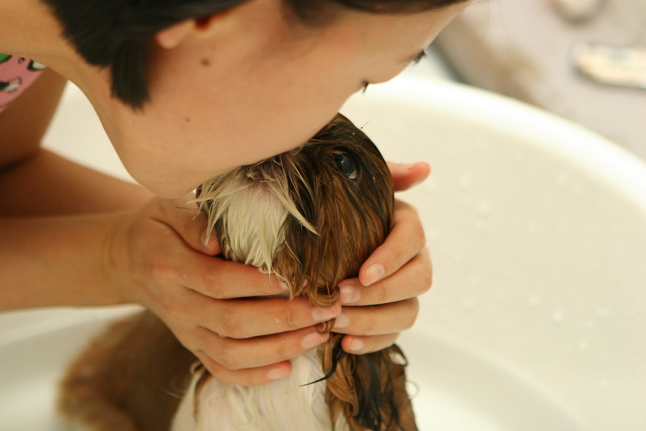 Cuidados essenciais para manter a higiene dos pets