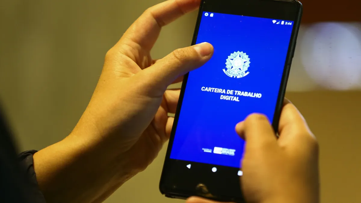 Ttexto prevê um período de transição gradual e escalonado que pode durar até cinco anos