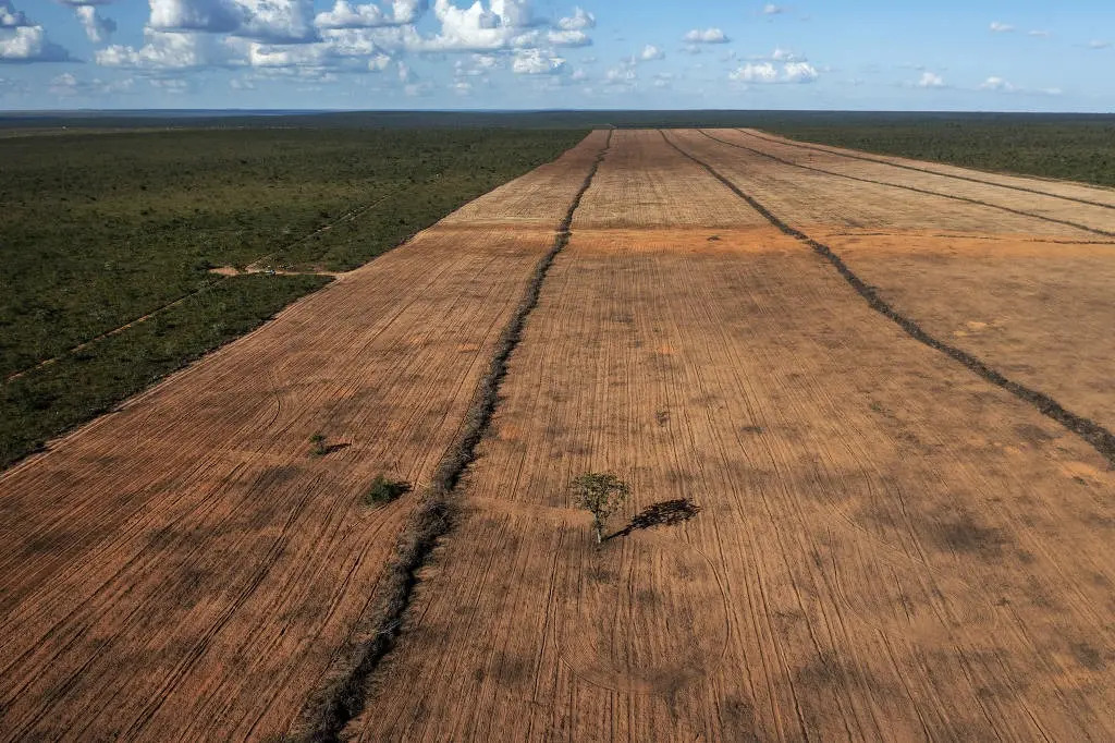 Área desmatada no cerrado, no estado do Tocantins, região de Matopiba