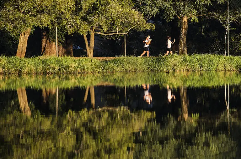 Pessoas caminham às margens de lago em parque arborizado