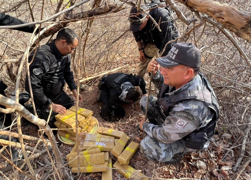 Polícia encontra 300 quilos de entorpecentes escondidos em terreno na zona rural de Bom Princípio
