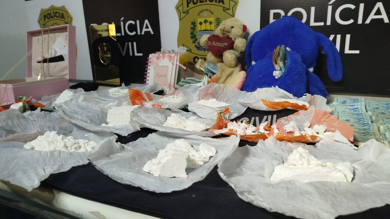 Drogas e dinheiro estavam escondidos em bichinhos de pelúcia
