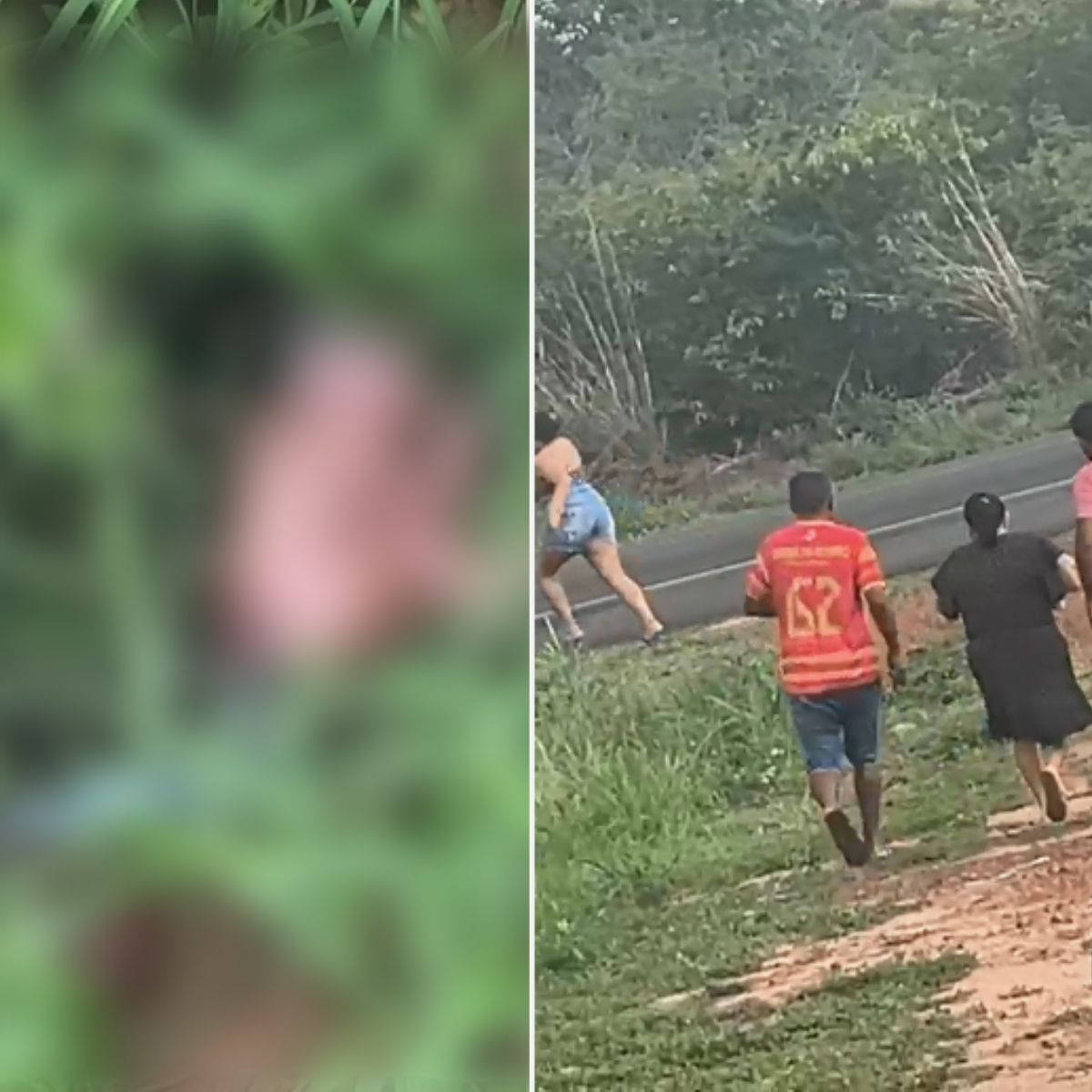 Recém-nascida é abandonada em matagal no município de Dom Expedito Lopes, Piauí