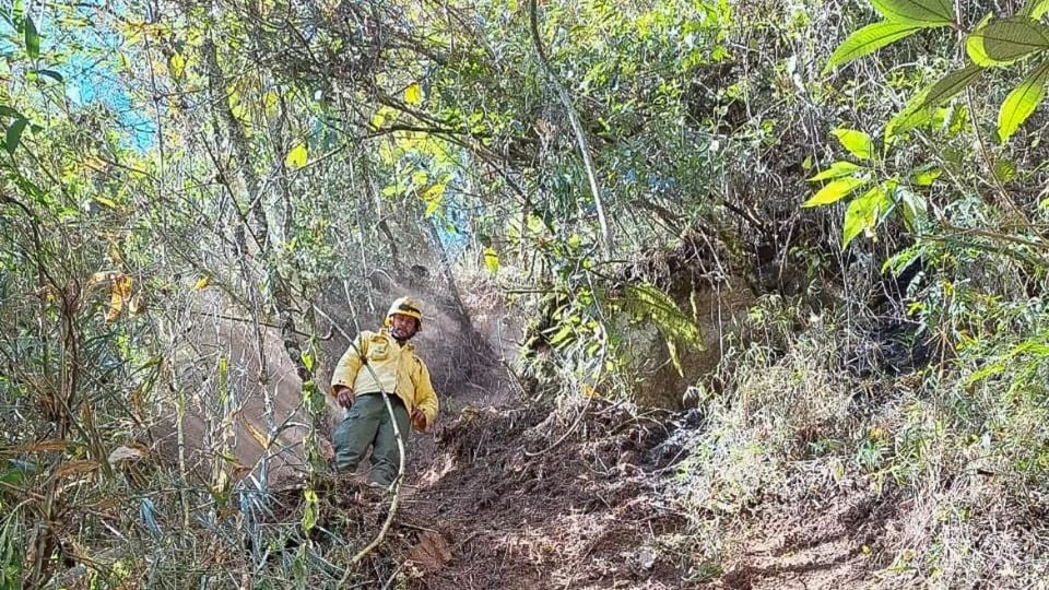 Exército é multado