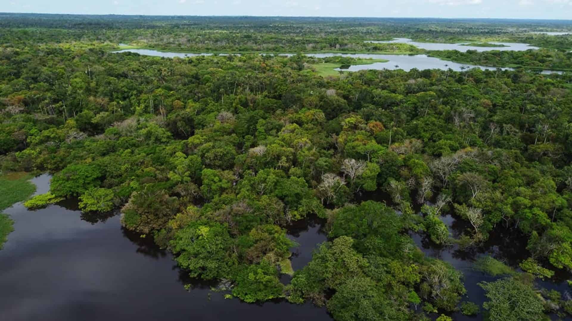 Amazônia peruana