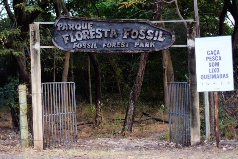 Parque Floresta Fóssil é renomeado em homenagem à arqueóloga Niède Guidon, pioneira na Serra da Capivara