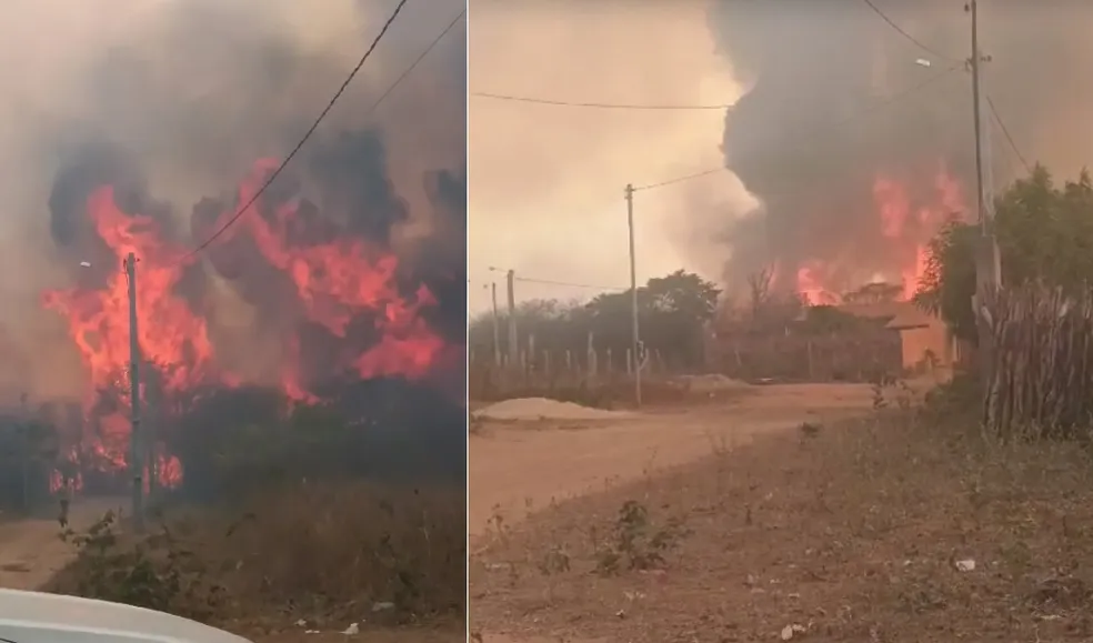 Incêndio de grandes proporções ameaça maior reserva de Caatinga do mundo
