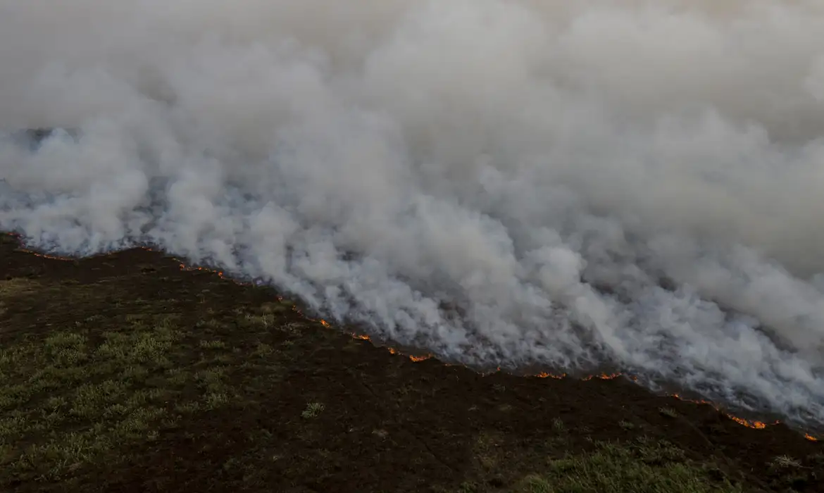 Grandes incêndios no Pantanal