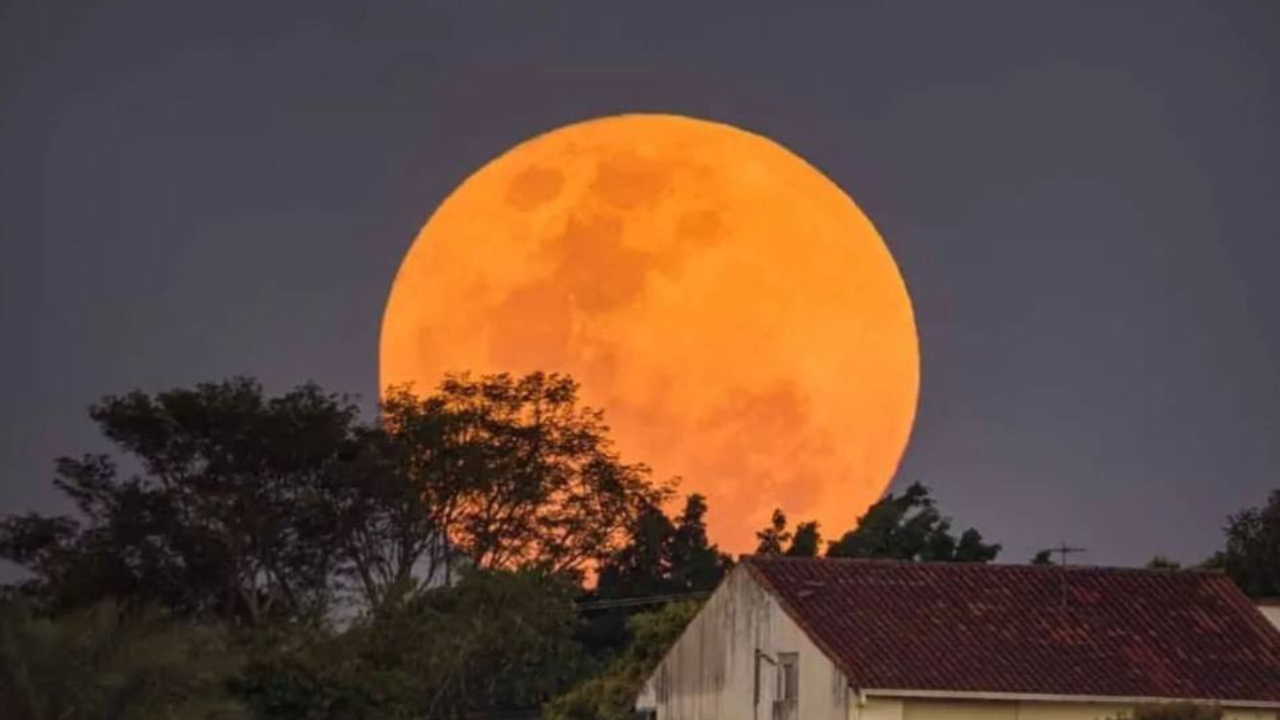 Lua cheia rosa será vista em todo território nacional nesta terça-feira (23)
