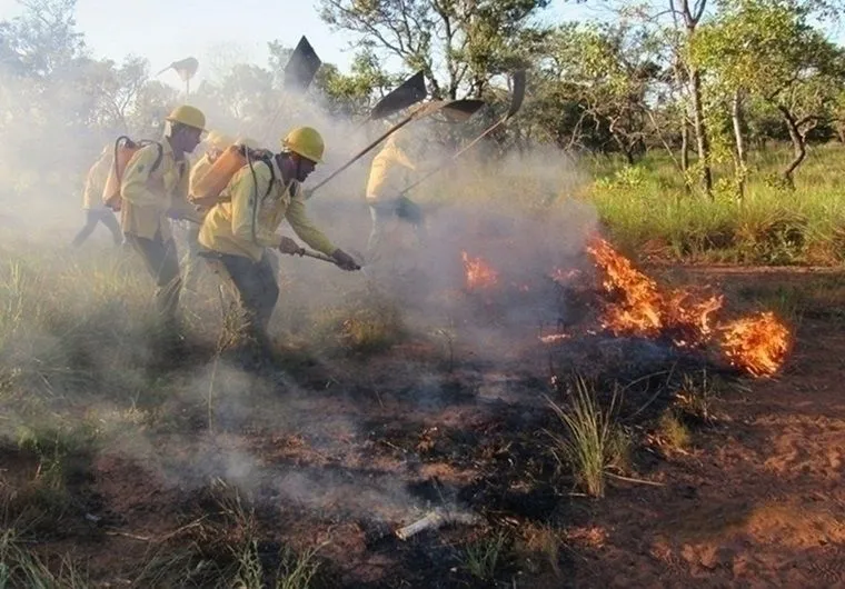 Bombeiros combatendo queimadas