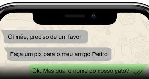 Golpe do familiar em apuros é fraude virtual mais cometida no Piauí no mês de agosto