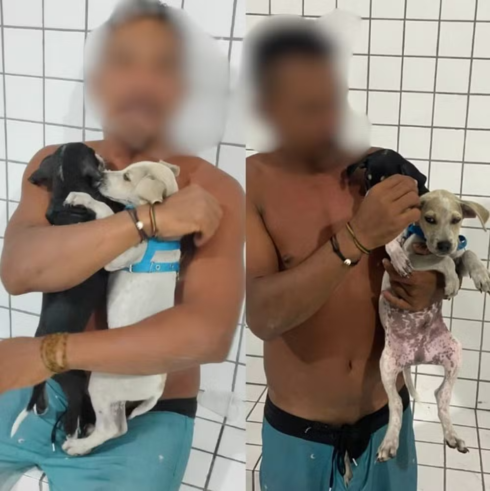 Banhistas registraram os maus-tratos e acionaram a polícia