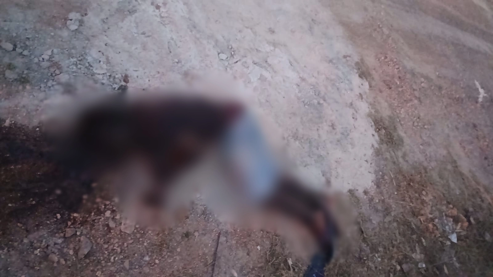 Homem é encontrado morto no bairro Angelim