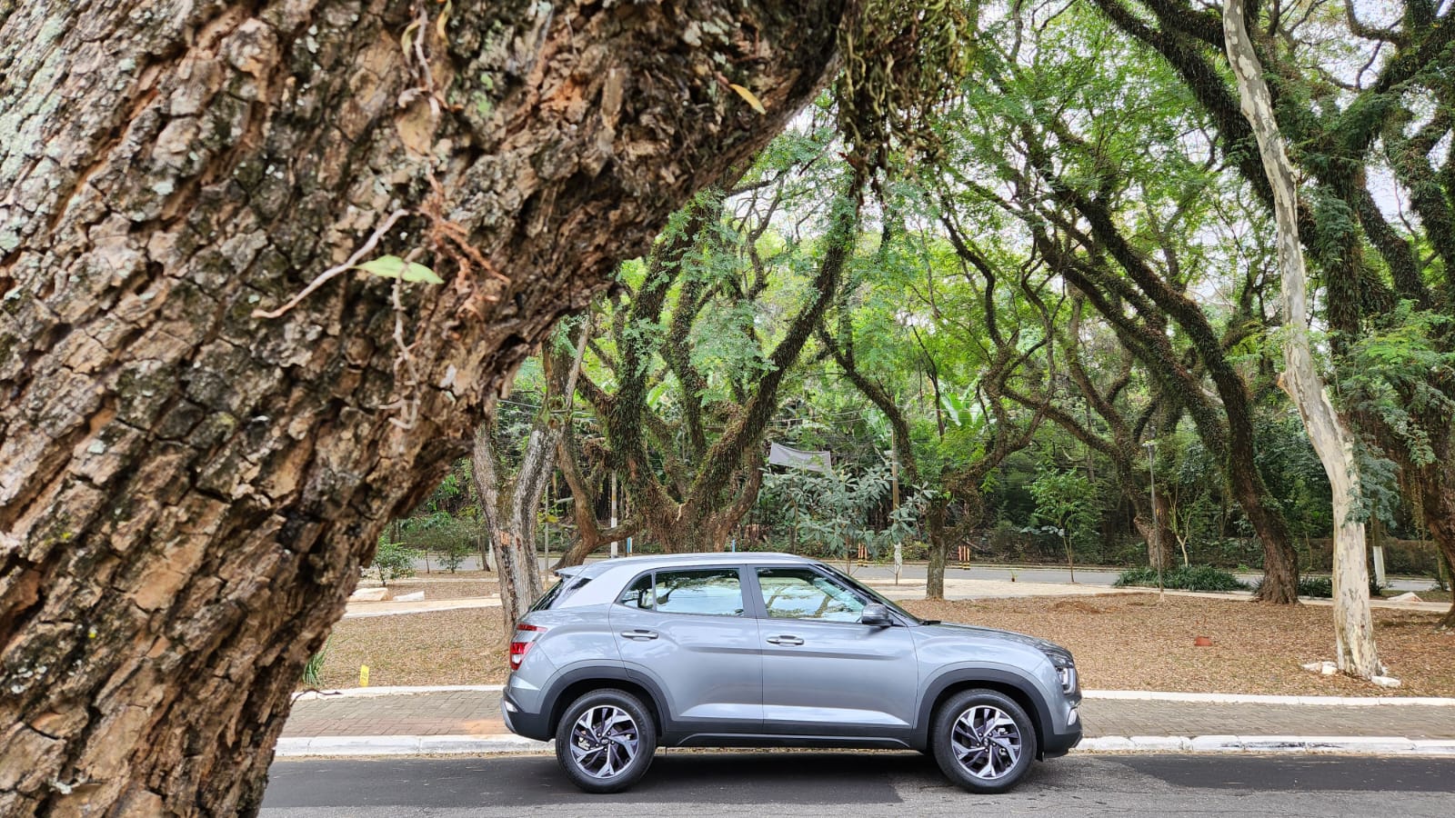 Hyundai busca a liderança com a linha Creta 2025