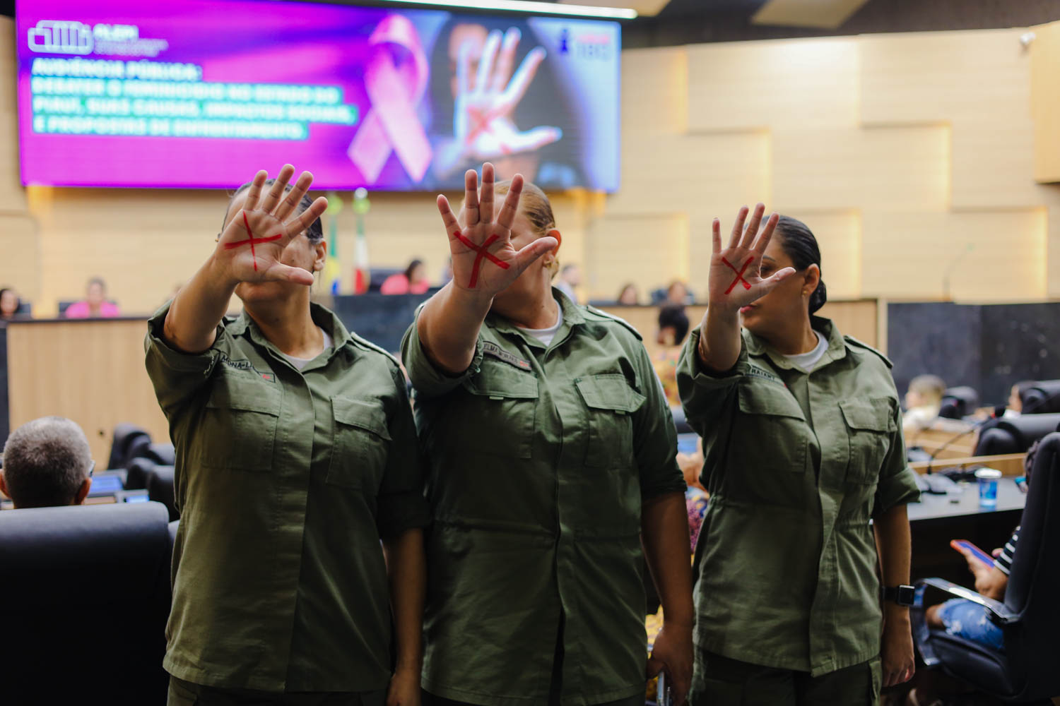 Audiência pública debateu os altos números de feminicídio no estado