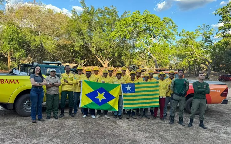 Piauí chega à marca de 1.442 brigadistas em 99 cidades