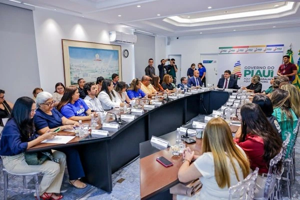 Entidades reunidades pedindo apoio para aprovação de PL ao governador Rafael Fonteles
