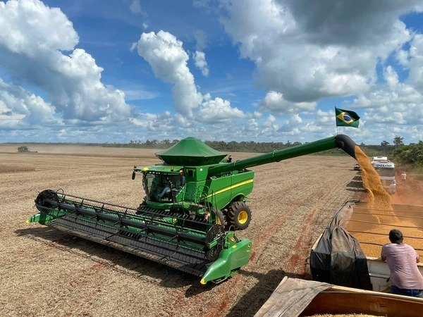 Mapa define datas seguras para plantio da soja na safra 2025/26 em 20 estados do Brasil