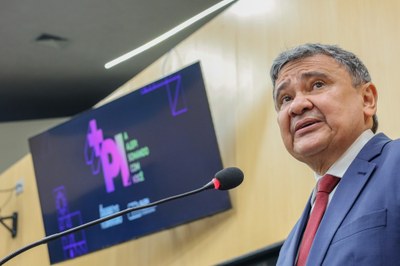 A abertura do evento contou com a participação do ministro Wellington Dias