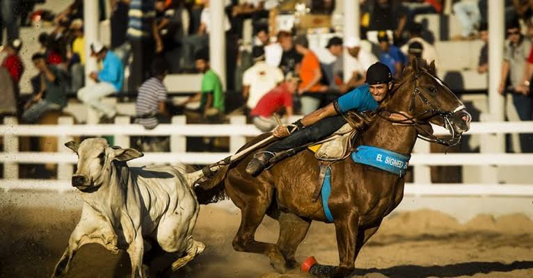 STF confirma a legalidade da vaquejada em todo o Brasil, reconhecendo-a como prática cultural e esportiva regulamentada, com medidas de proteção animal