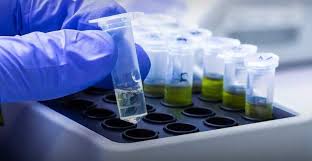 Projeto prevê teste genético para detectar câncer de mama