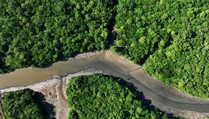 Vista da floresta amazônica em Belém, no Pará