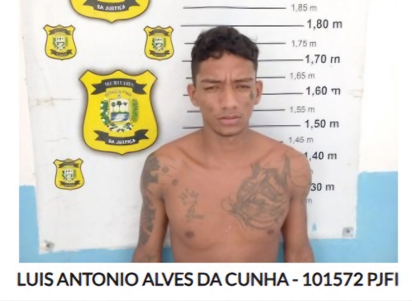 Luís Antônio Alves da Cunha