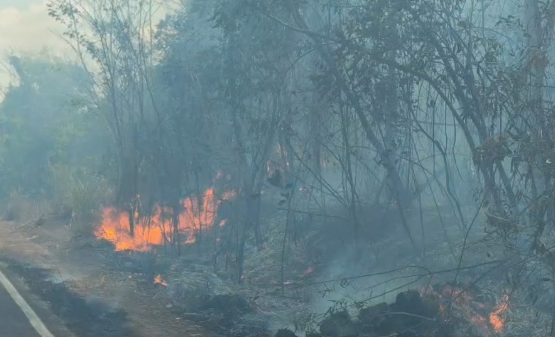 Fogo na mata na região da Cacimba Velha já duas duas semanas