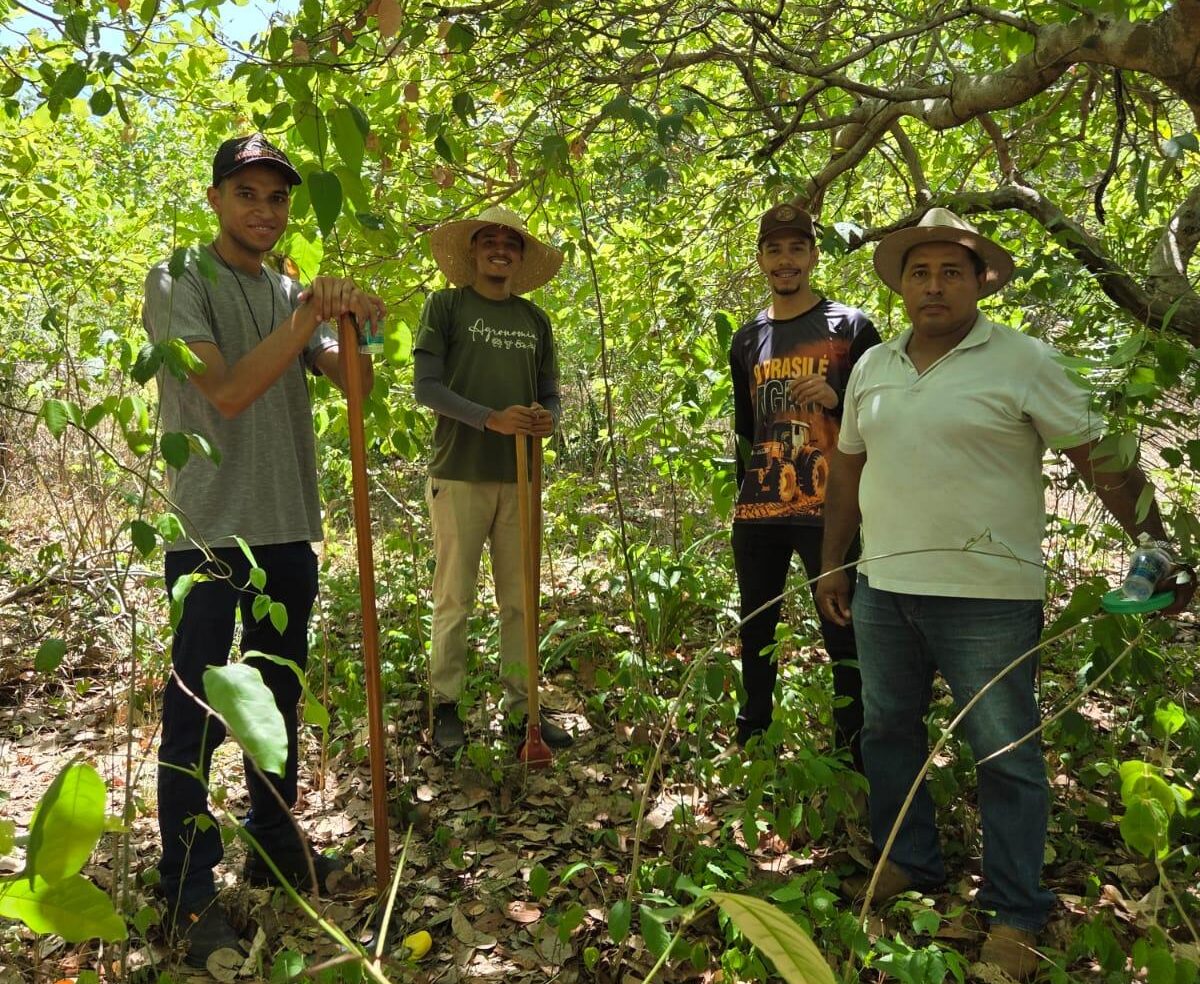 Pesquisadores querem criar modelo moderno de monitoramento para reverter queda de produtividade