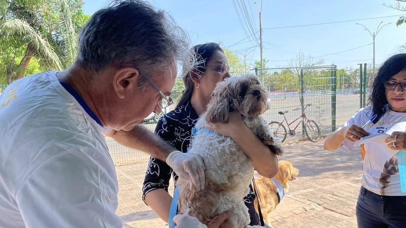 Campanha de vacinação de cães e gatos começa dia 22