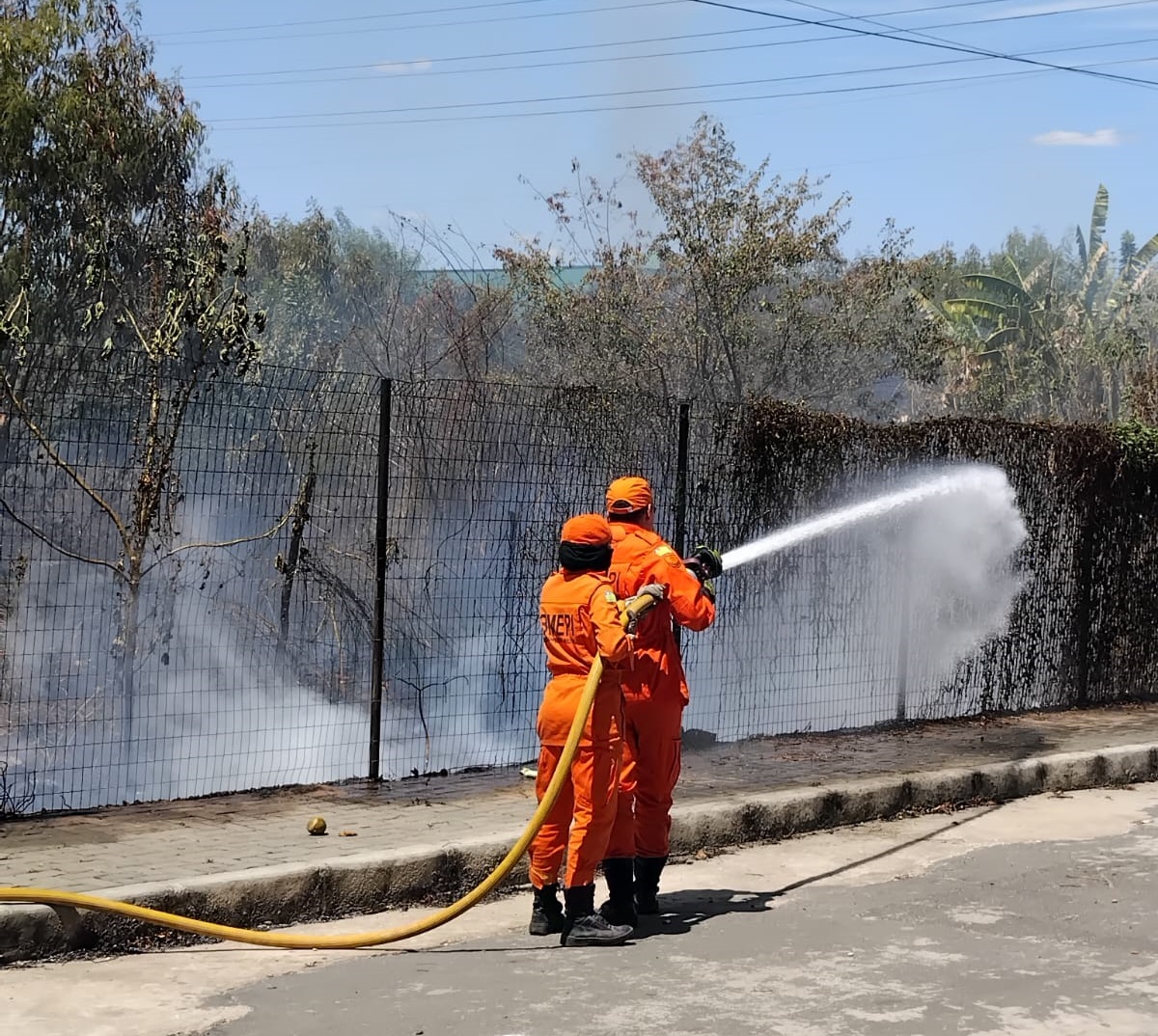 Corpo de Bombeiros apaga as chamas nas proximidades da horta comunitária do Dirceu