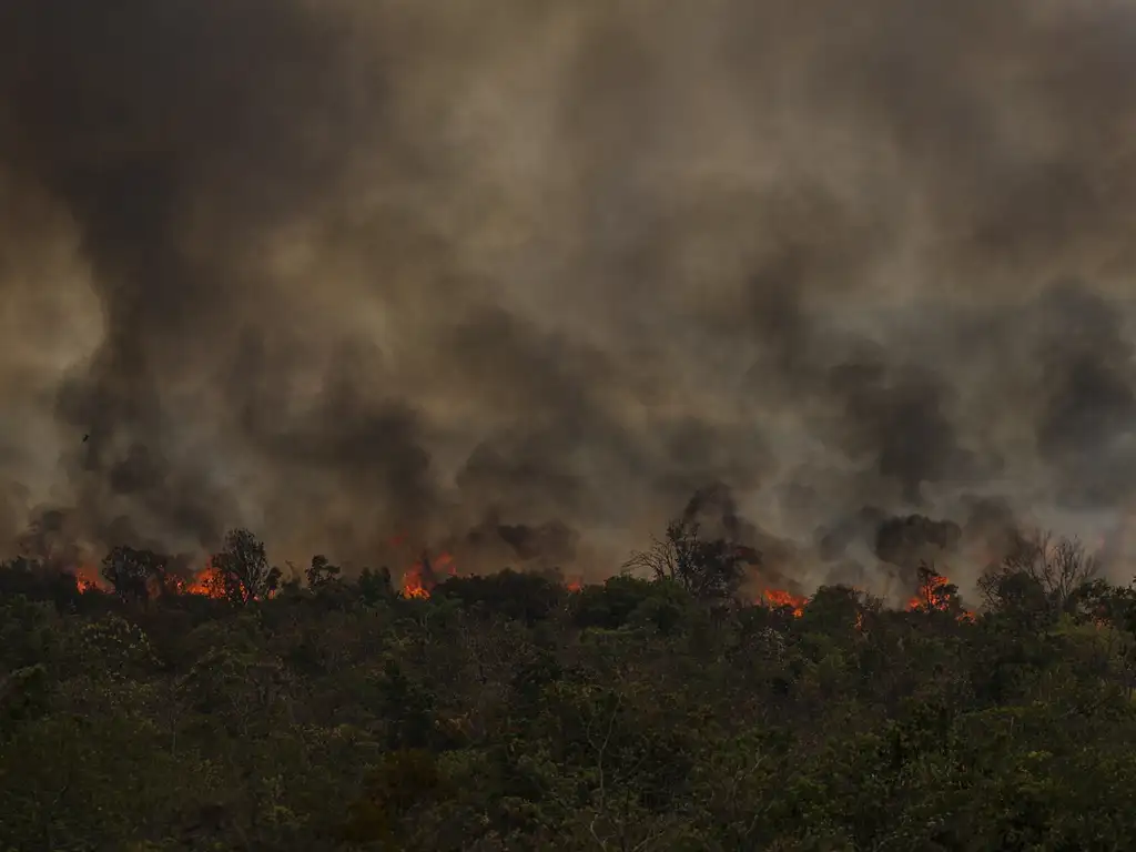 Grandes focos de incêndio atingem áreas do Parque Nacional de Brasília