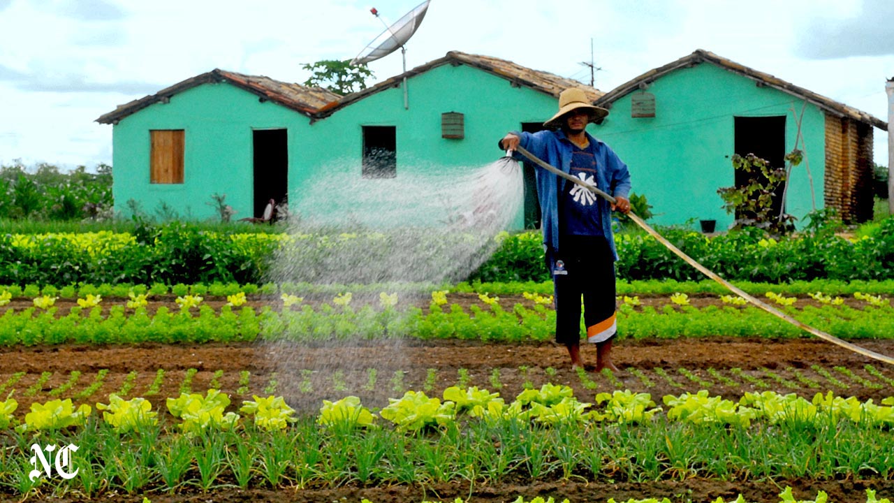 Produtor rural deve renovar cadastro para manter a tarifa rural de energia