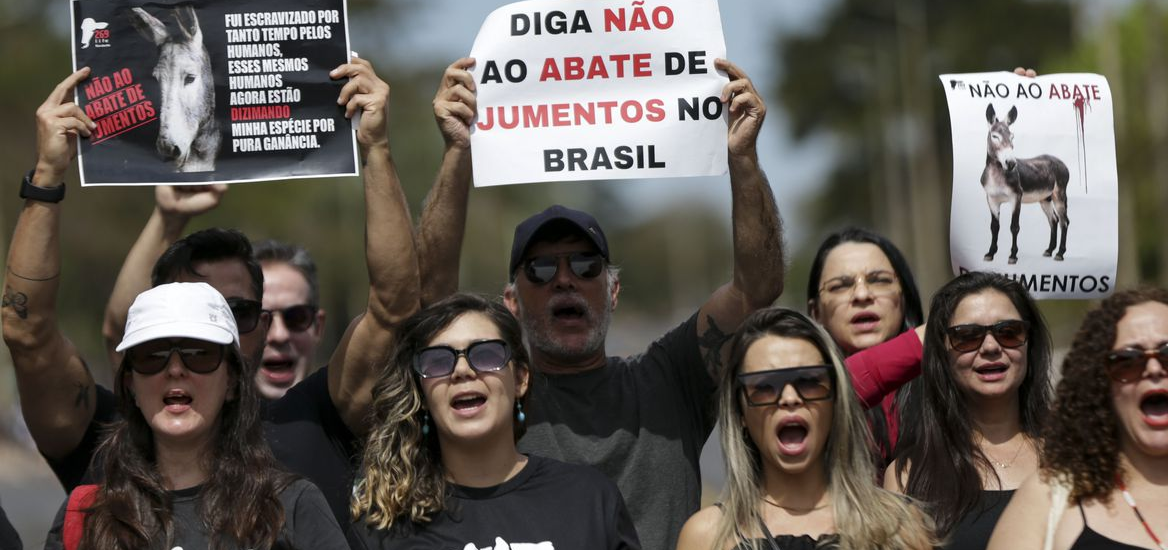 Manifestação pede fim do abate de jumentos no Brasil