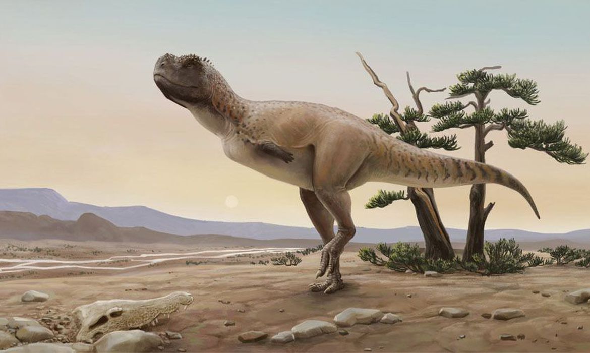 Nova espécie de dinossauro carnívoro é descoberto em São Paulo