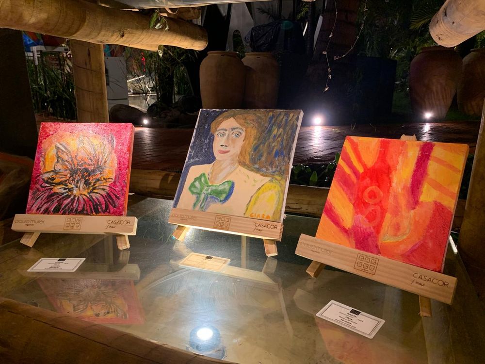 Exposição de telas dos pacientes do Ceir na Casacor Piauí 2024