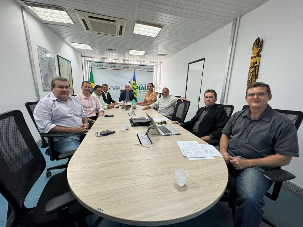 Os membros do Codin aprovaram por unanimidade a concessão incentivos fiscais para instalação de novas indústrias no Piauí