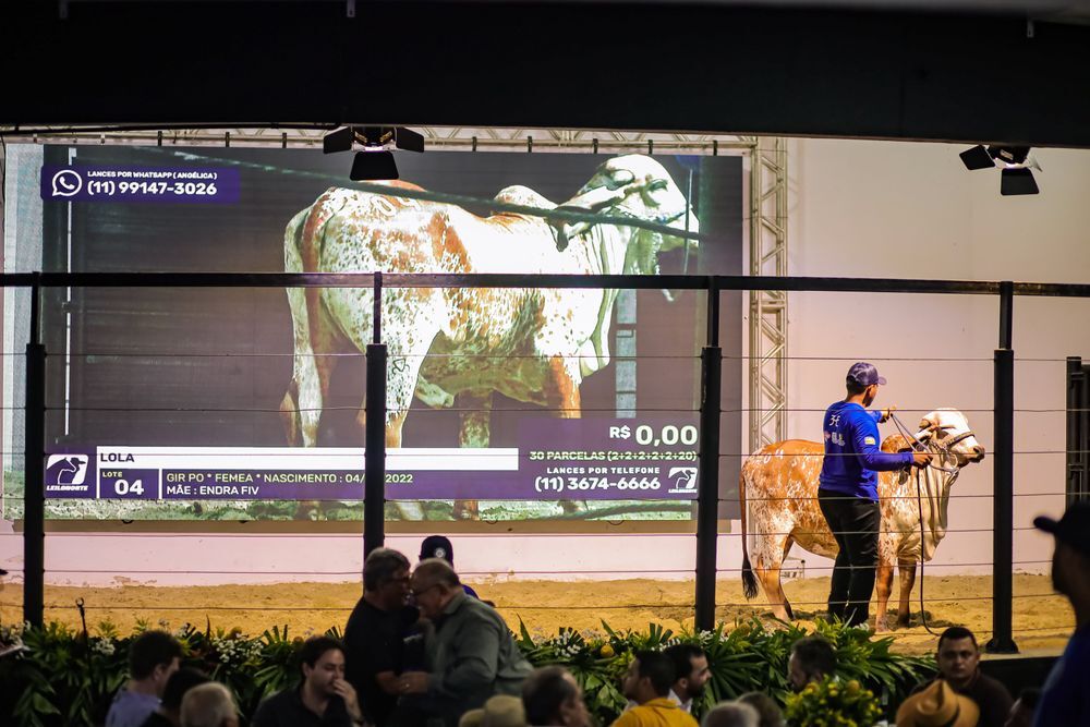 Cavalgada dará início a 73ª Expoapi