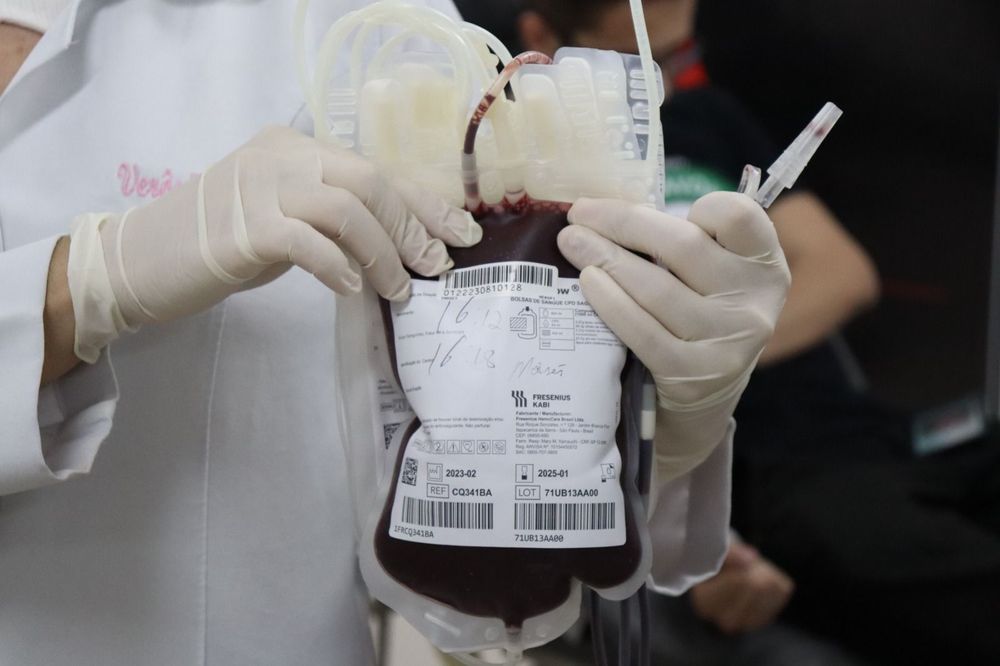 Sangue