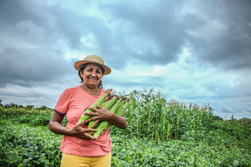 Maria Francisca Gomes, produtora rural