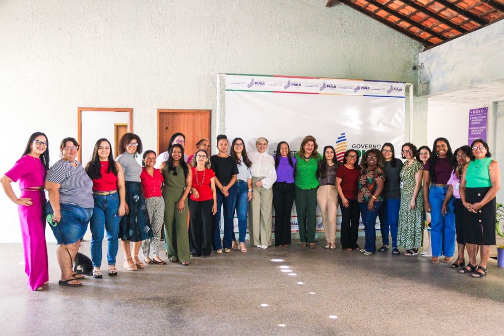 Nova mesa diretora do Conselho Estadual dos Direitos da Mulher no Piauí