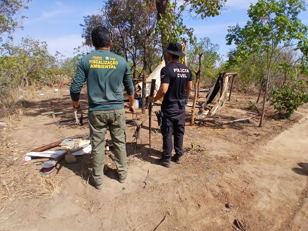 Força-tarefa para combater incêndios criminosos na região do Cerrado piauiense