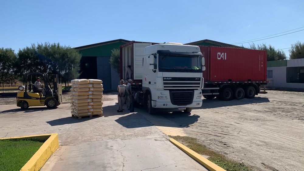 Piauí exporta 30 toneladas de cera de carnaúba para Kobe, no Japão