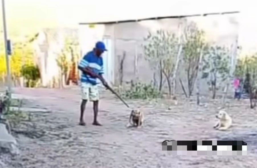 Vídeo mostra momento em que homem mata cachorro