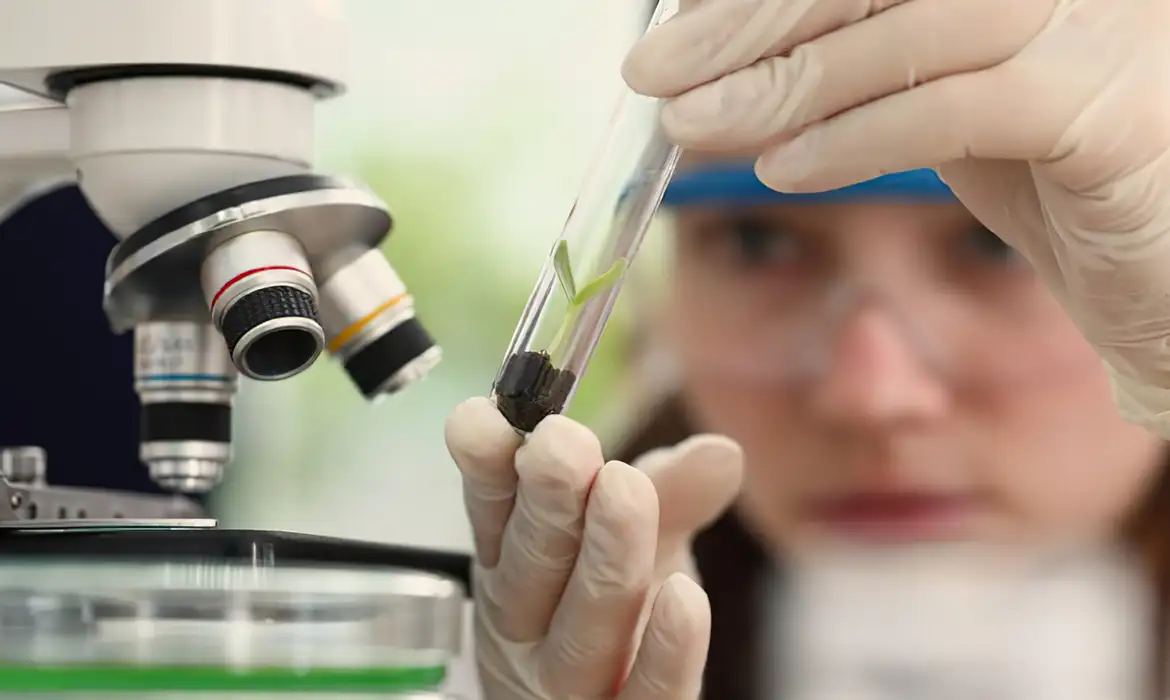 Premiação é dedicada a mulheres cientistas do ensino médio e superior