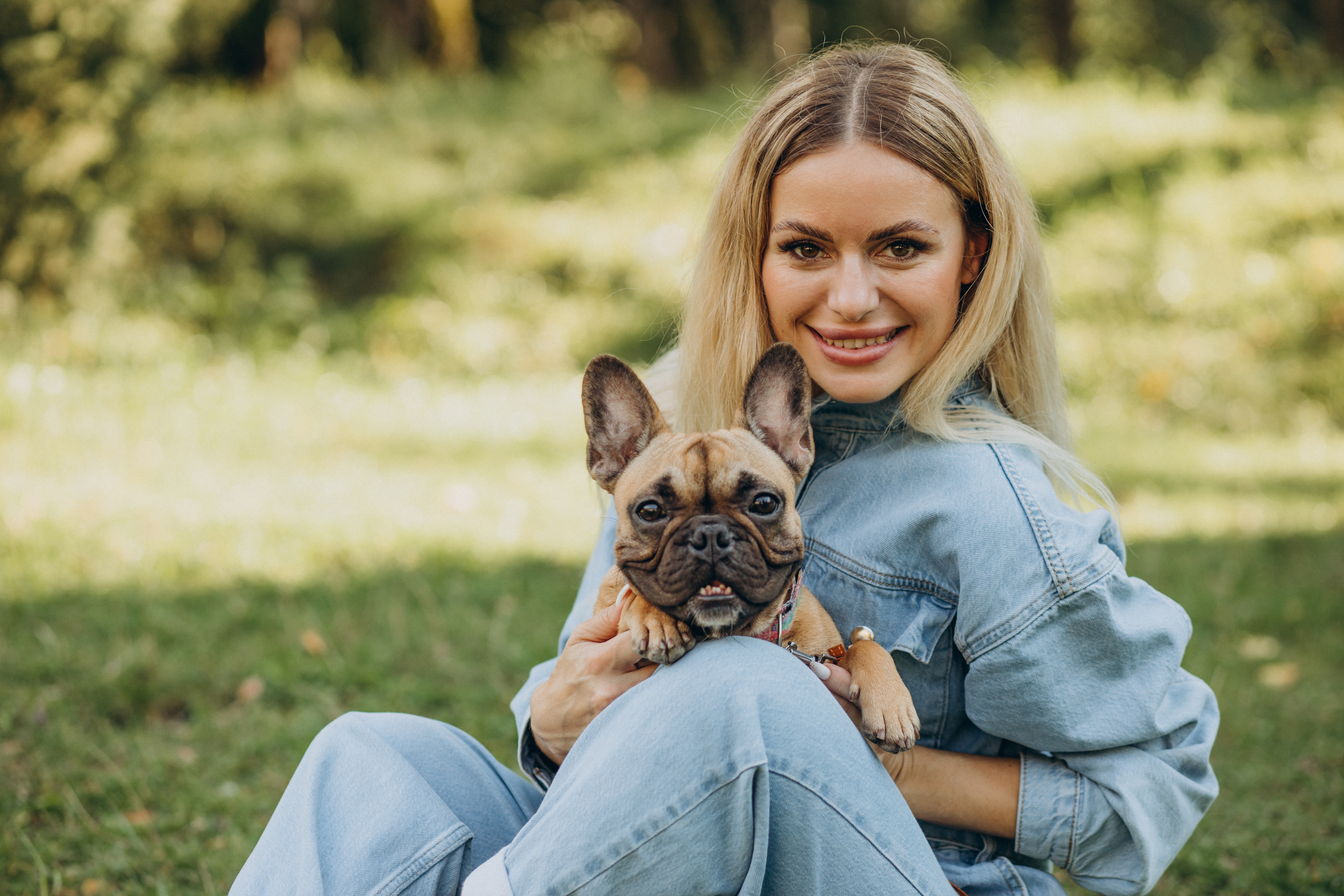 Aplicativo facilitaria reencontro de tutores com pets desaparecidos