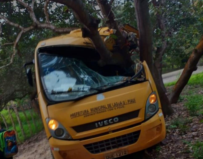 Ônibus escolar colide com árvore